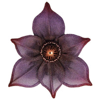 Copper, Purple & Red