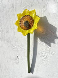 Forever sunflower II