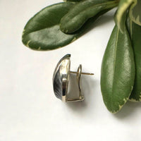 Shell Shaped Earrings