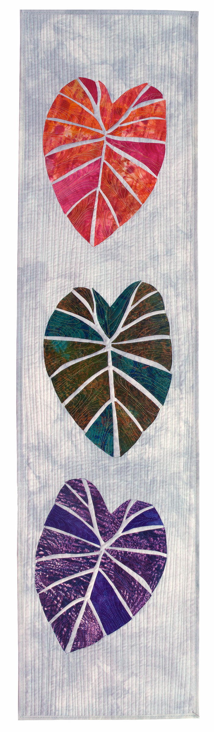 Elephant Ear 3