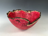 Natural Edge Maple Burl II