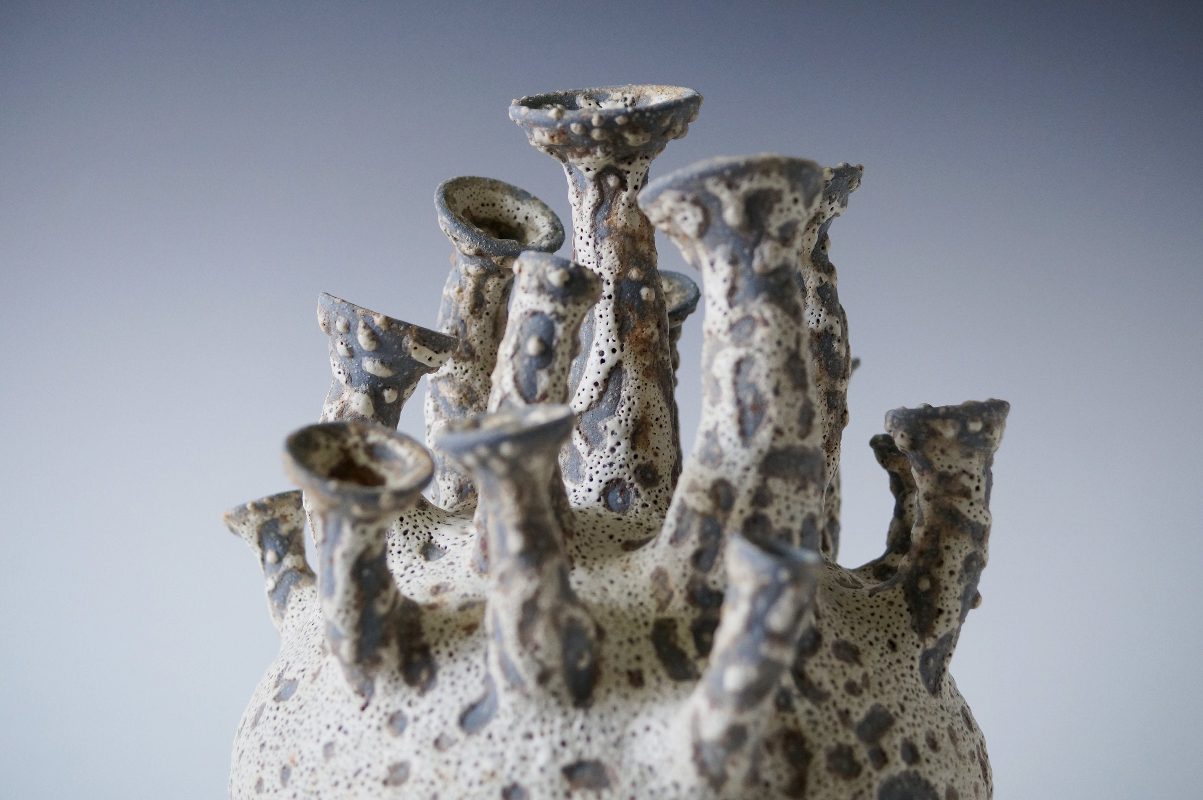 Tide Cluster Black Sea Porcelain Vessel