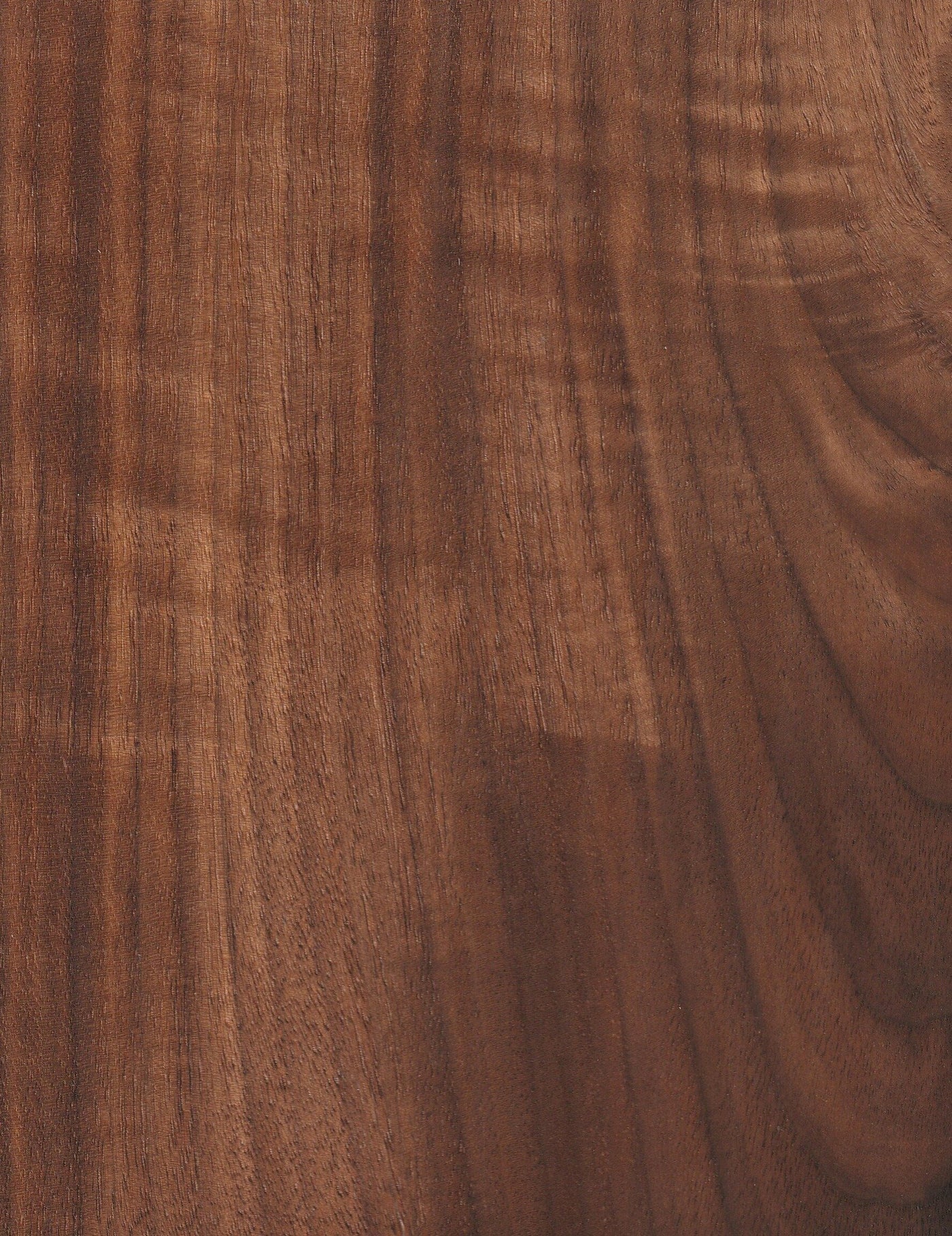 figured walnut swatch