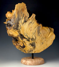 Display Piece Fashioned from Buckeye Burl
