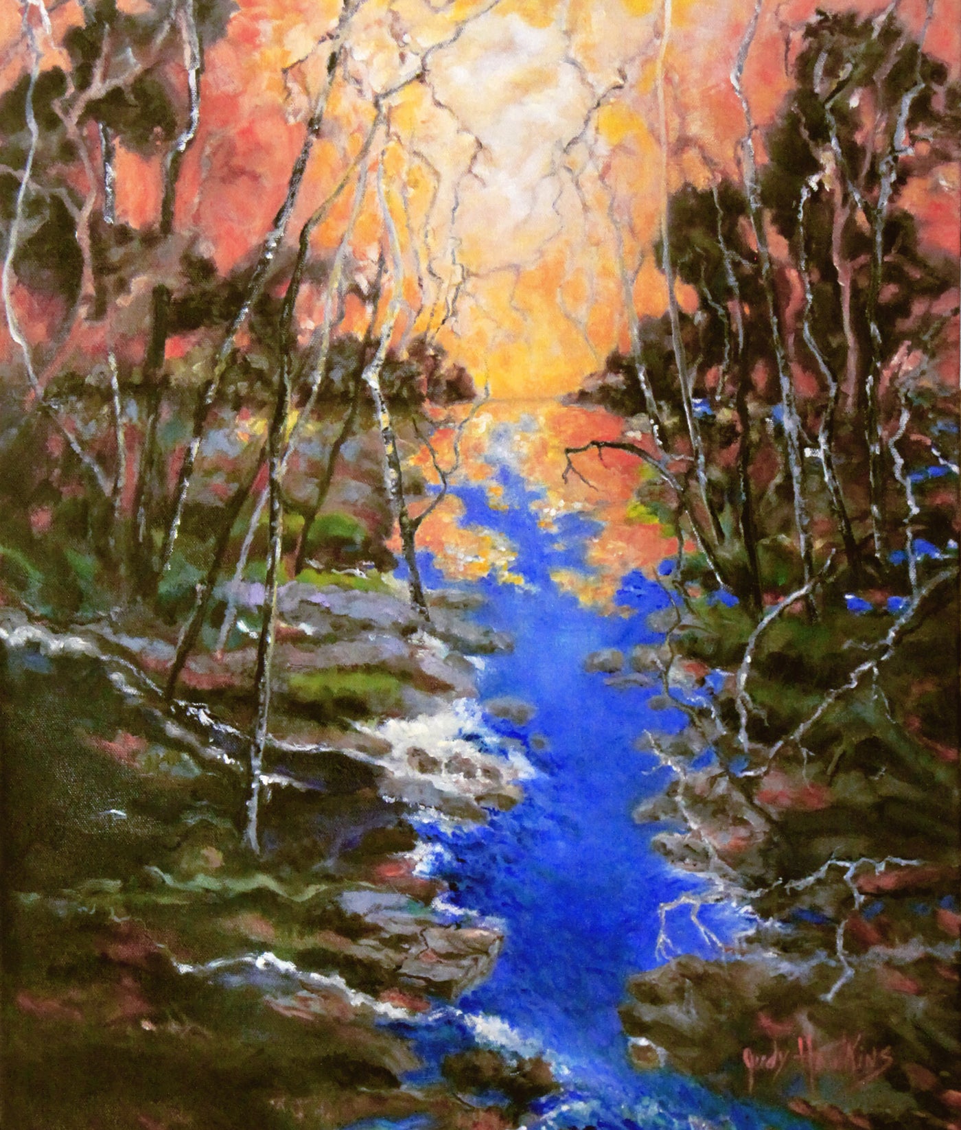 Forest Shadows