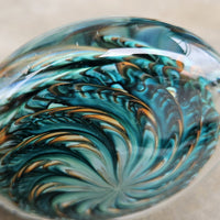 Lagoon Urchin