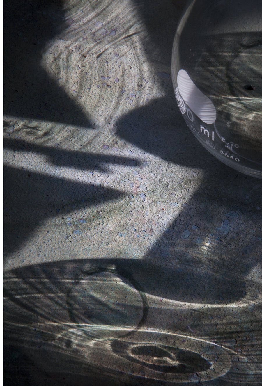 Still Life 6