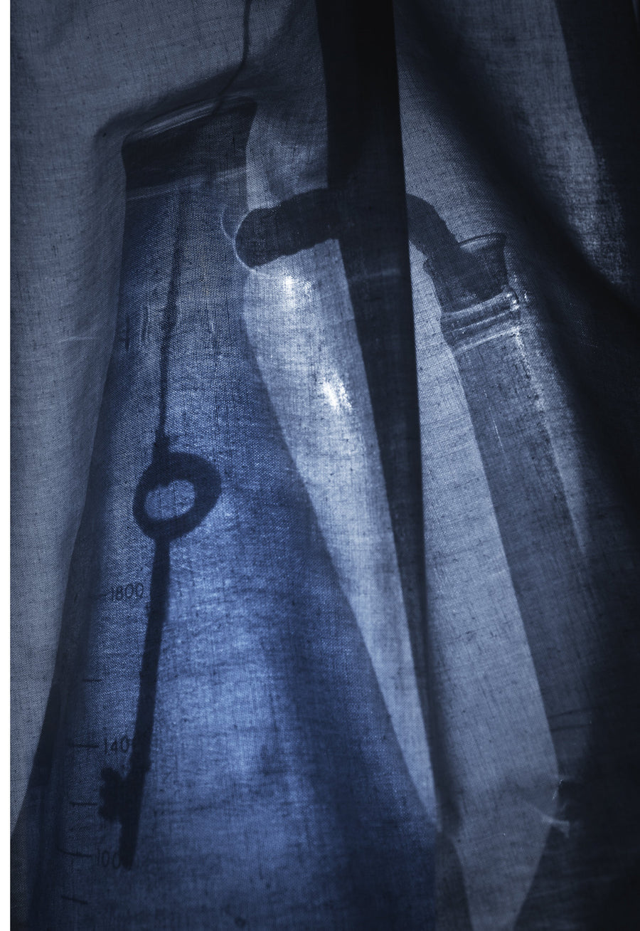Still Life 7