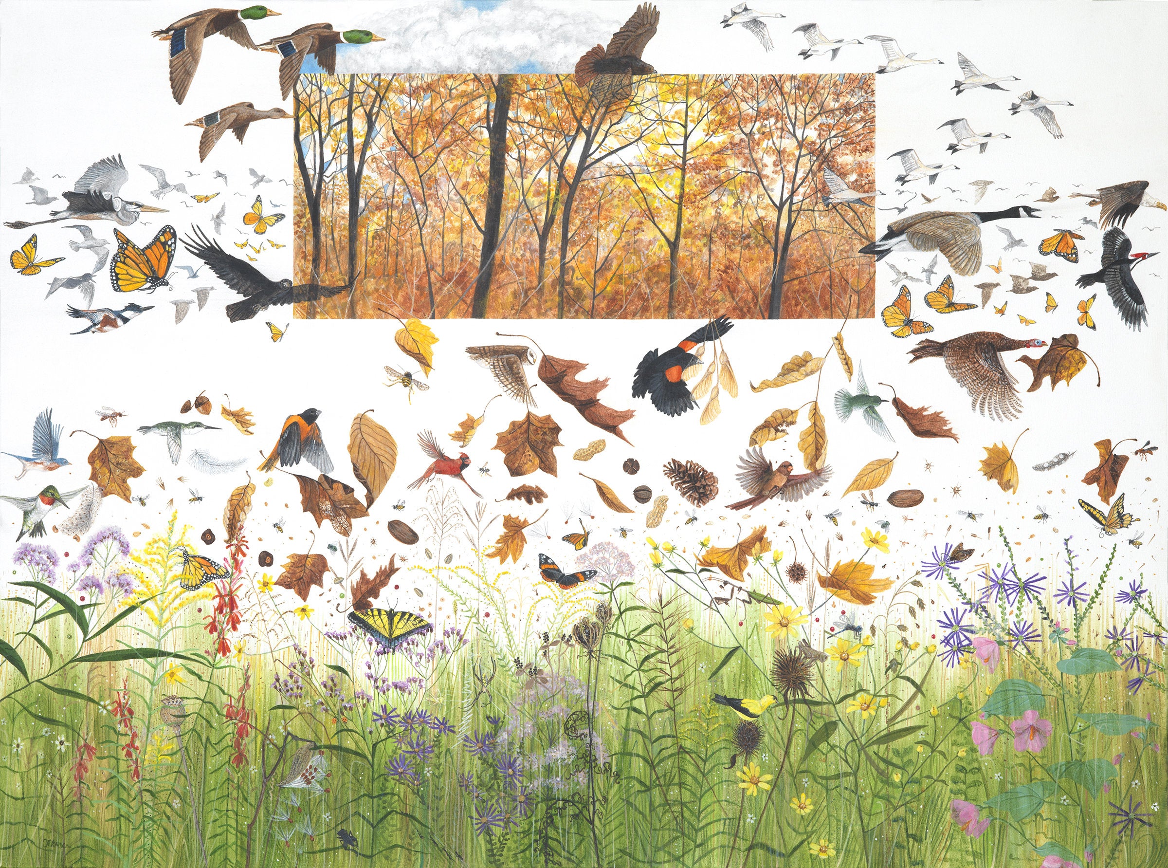 Fall, or Flying South