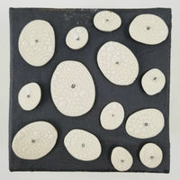 White Disks on Black