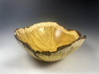 Natural Edge Mulberry Burl Bowl