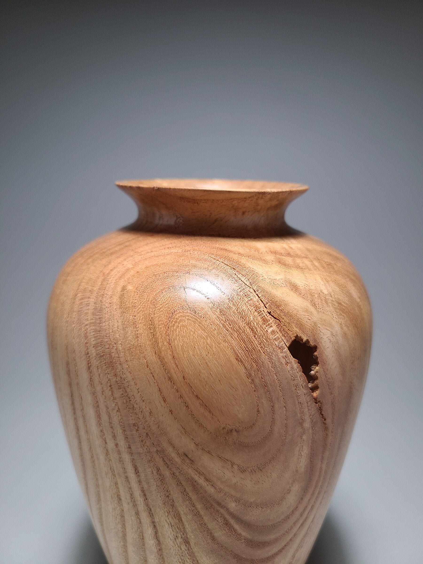 Timeless Forms