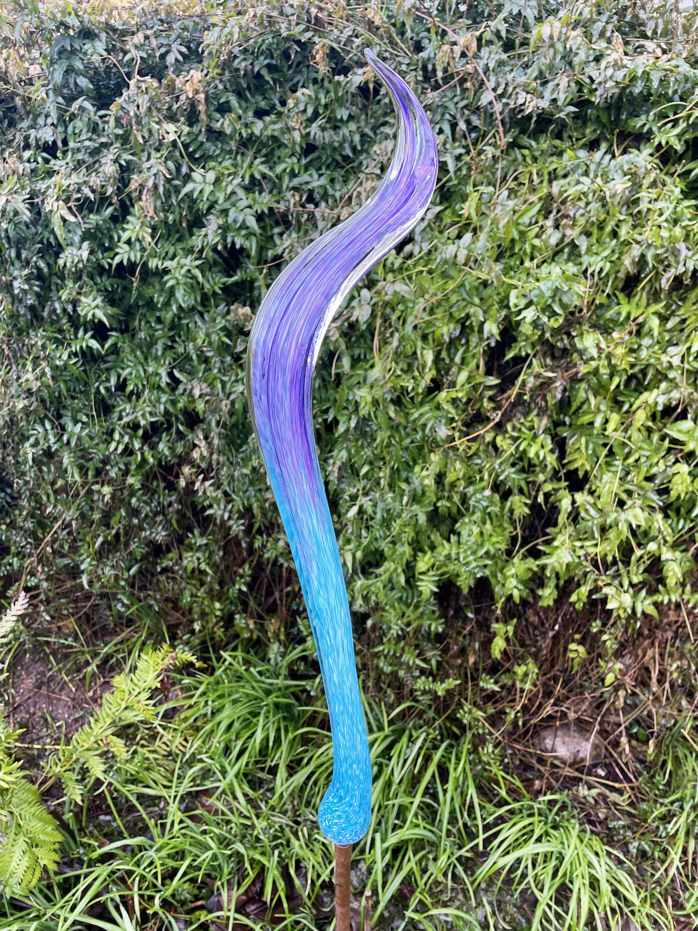 Aqua/Purple