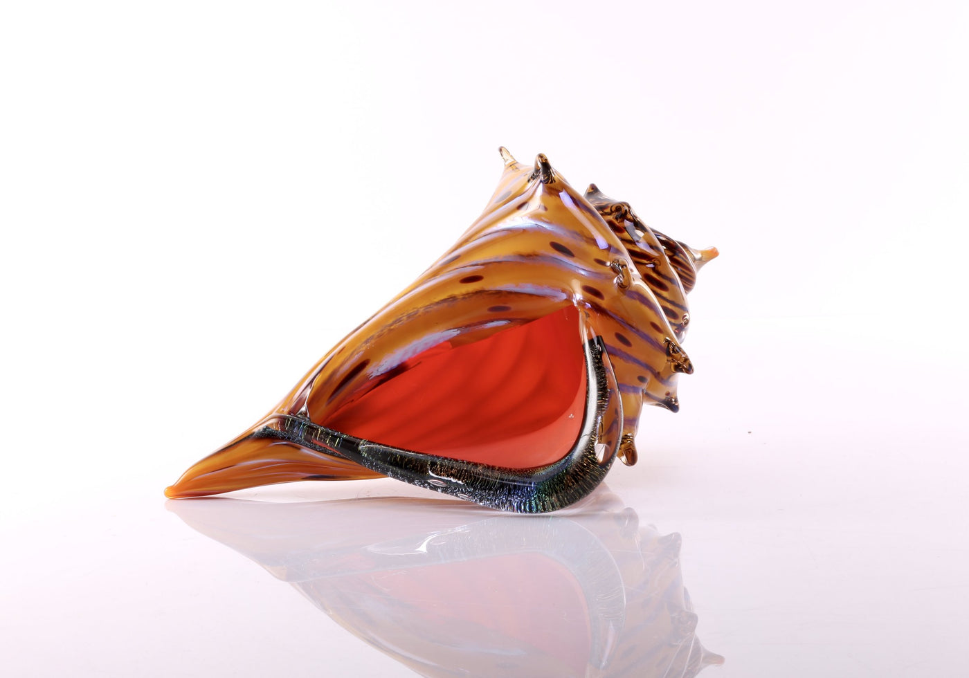 The Beach, Conch Shell