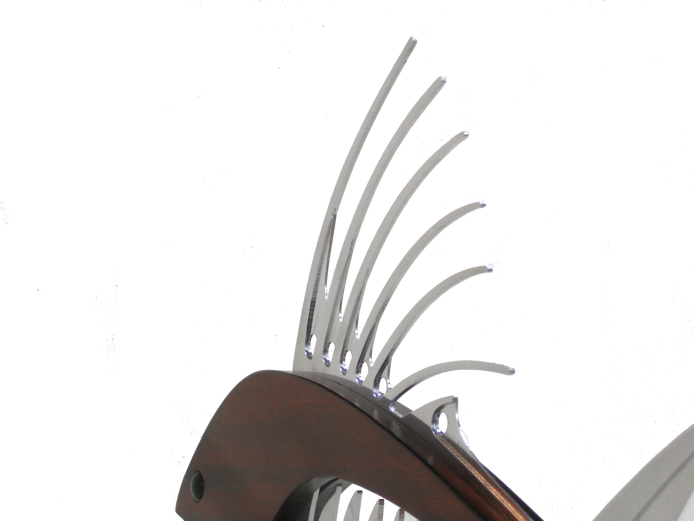 Roosterfish