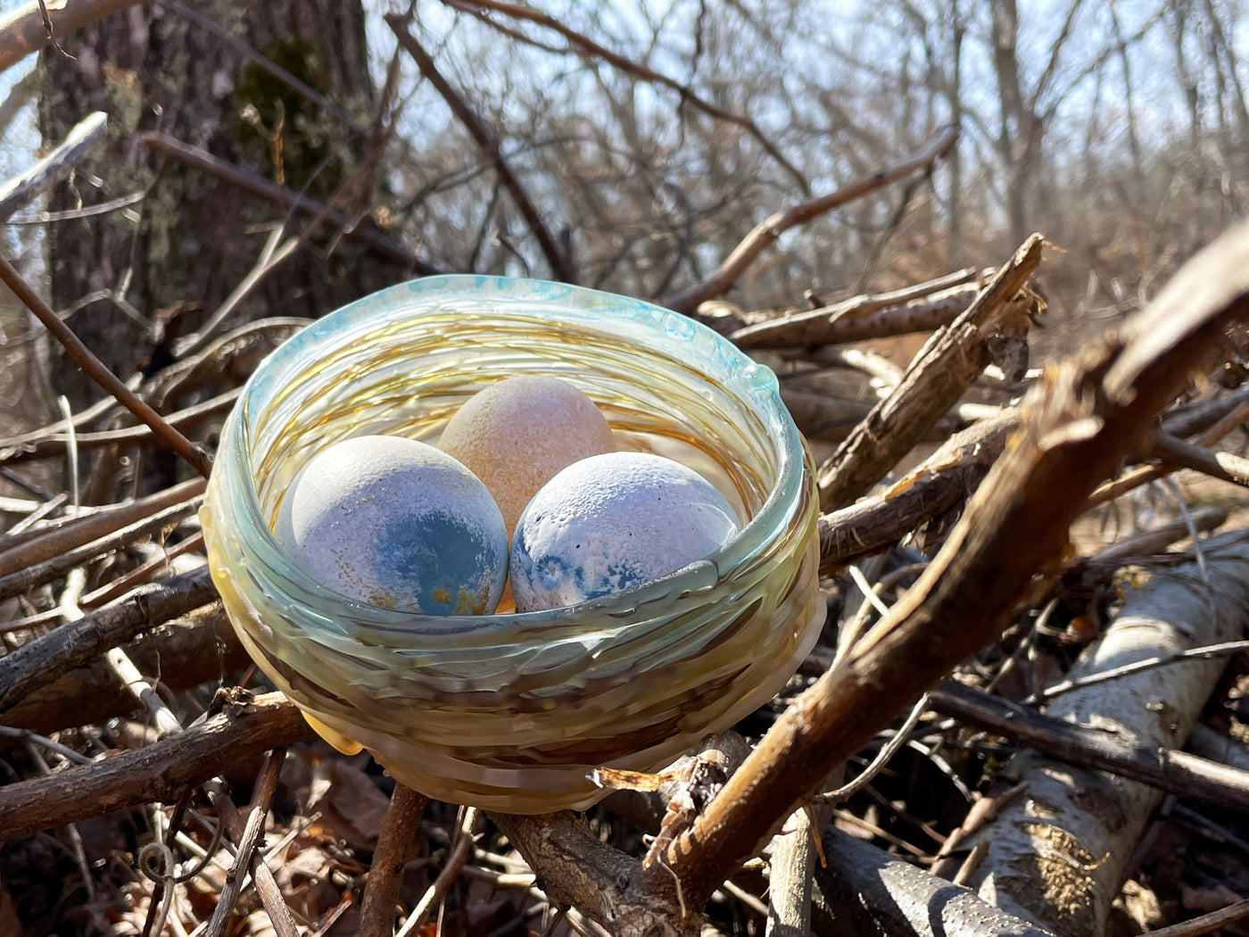 Bird's Nest with 3 Eggs
