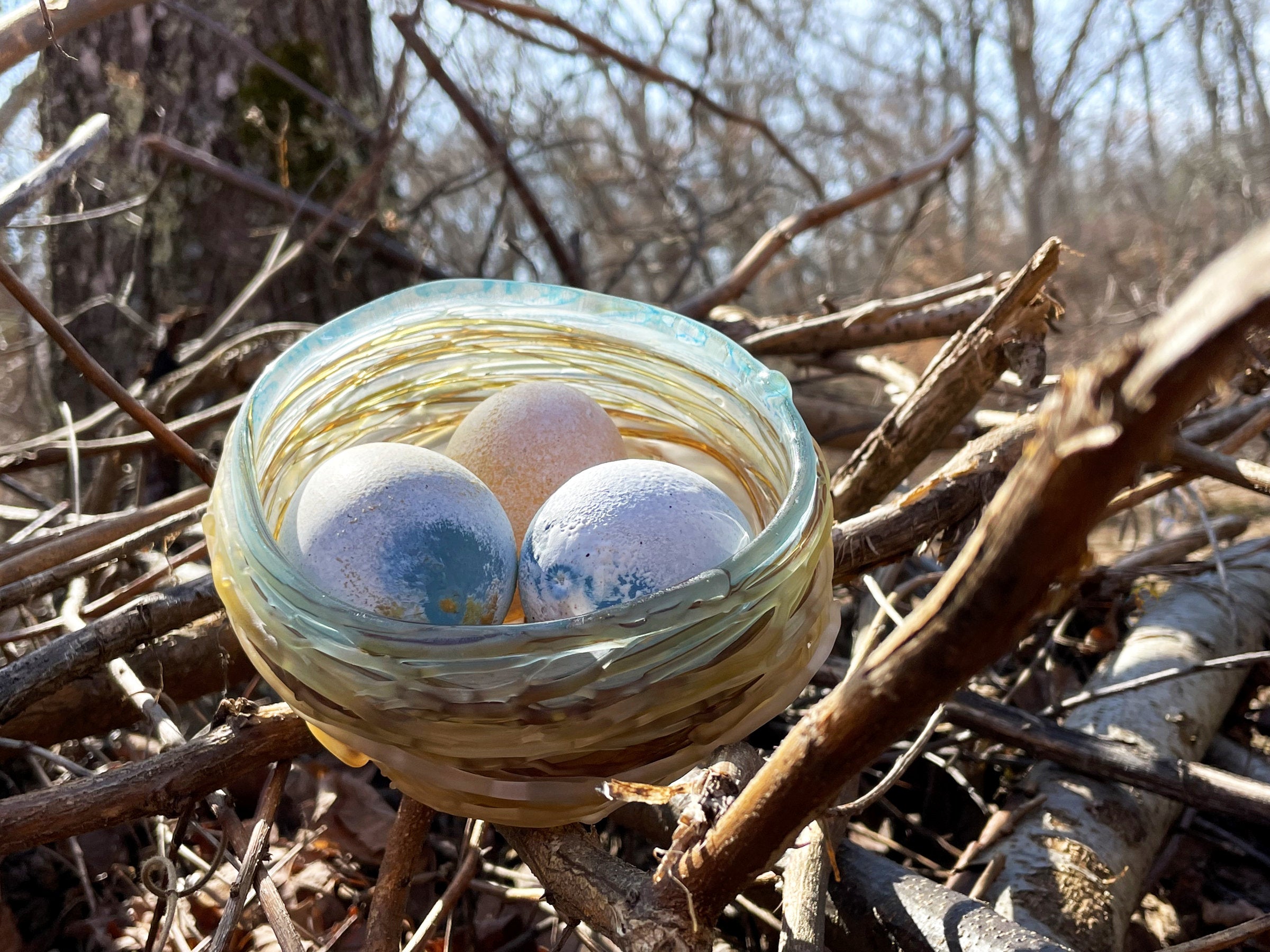 Bird's Nest with 3 Eggs