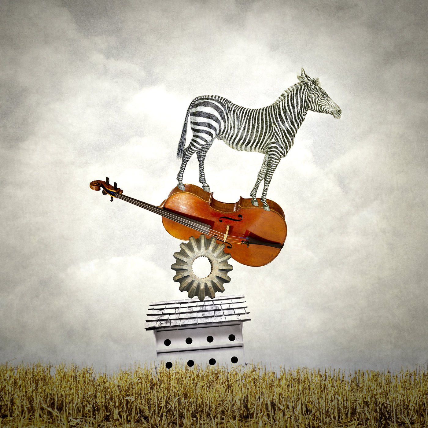 Balancing Zebra
