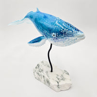 Cetacea, Northbound