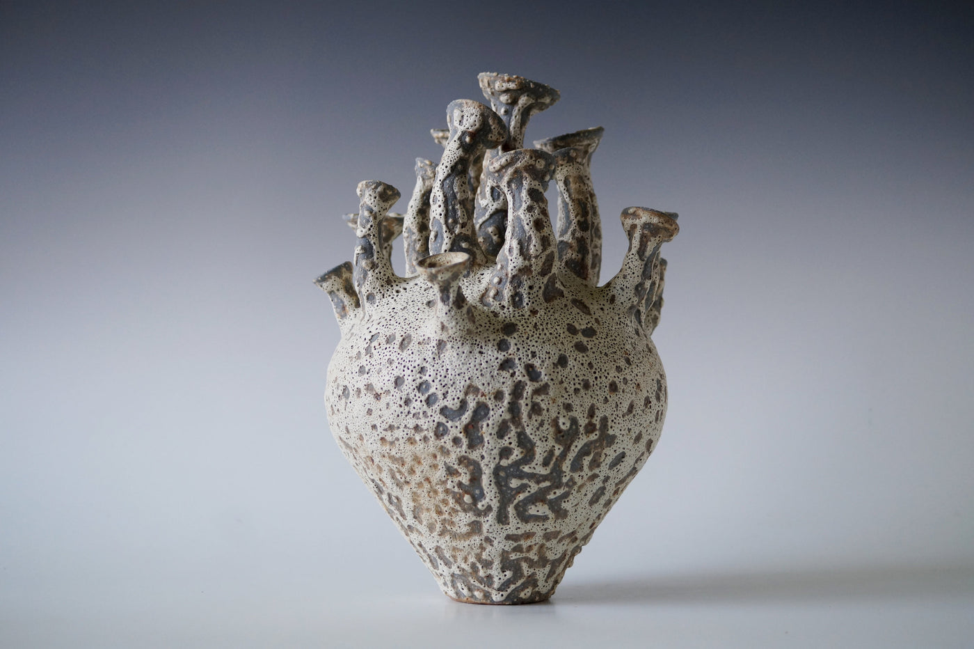 Tide Cluster Black Sea Porcelain Vessel