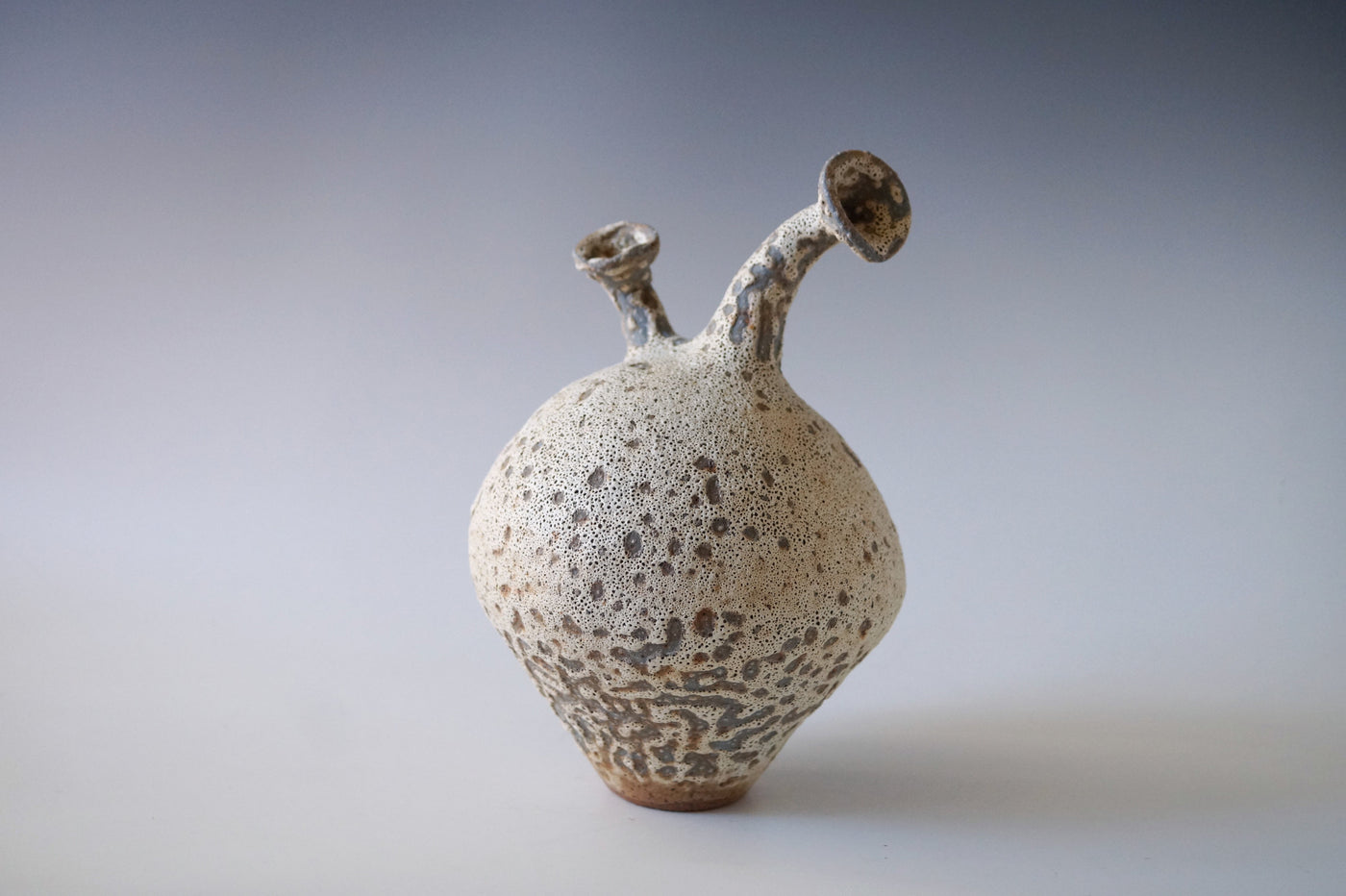 Coral Cluster Black Sea Porcelain Vessel