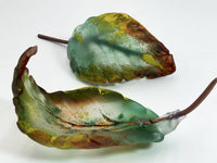 Leaf Pair