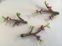 Dogwood Branch