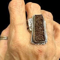 Petrified Wood Druzy Statement Ring