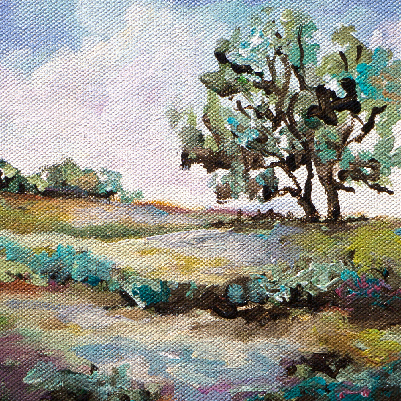 Rural View