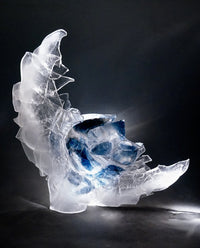 Wisp