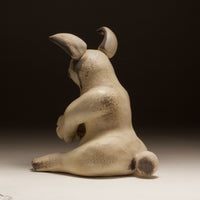 Contemplative Bunny