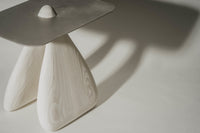 White with Stainless Steel