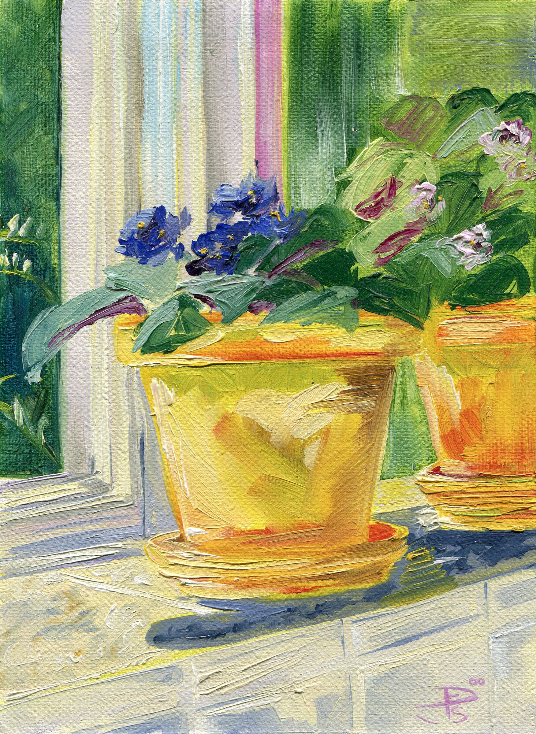 Violets in Yellow Pots