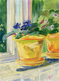 Violets in Yellow Pots