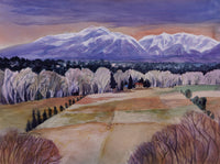 Winter Fields
