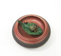 Potato Beetle with Larvae