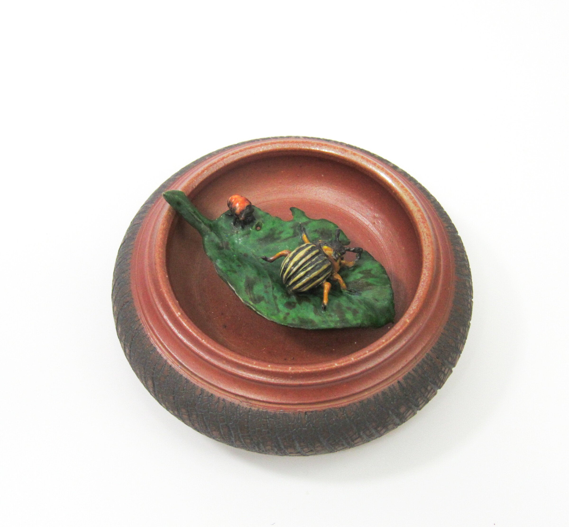 Potato Beetle with Larvae