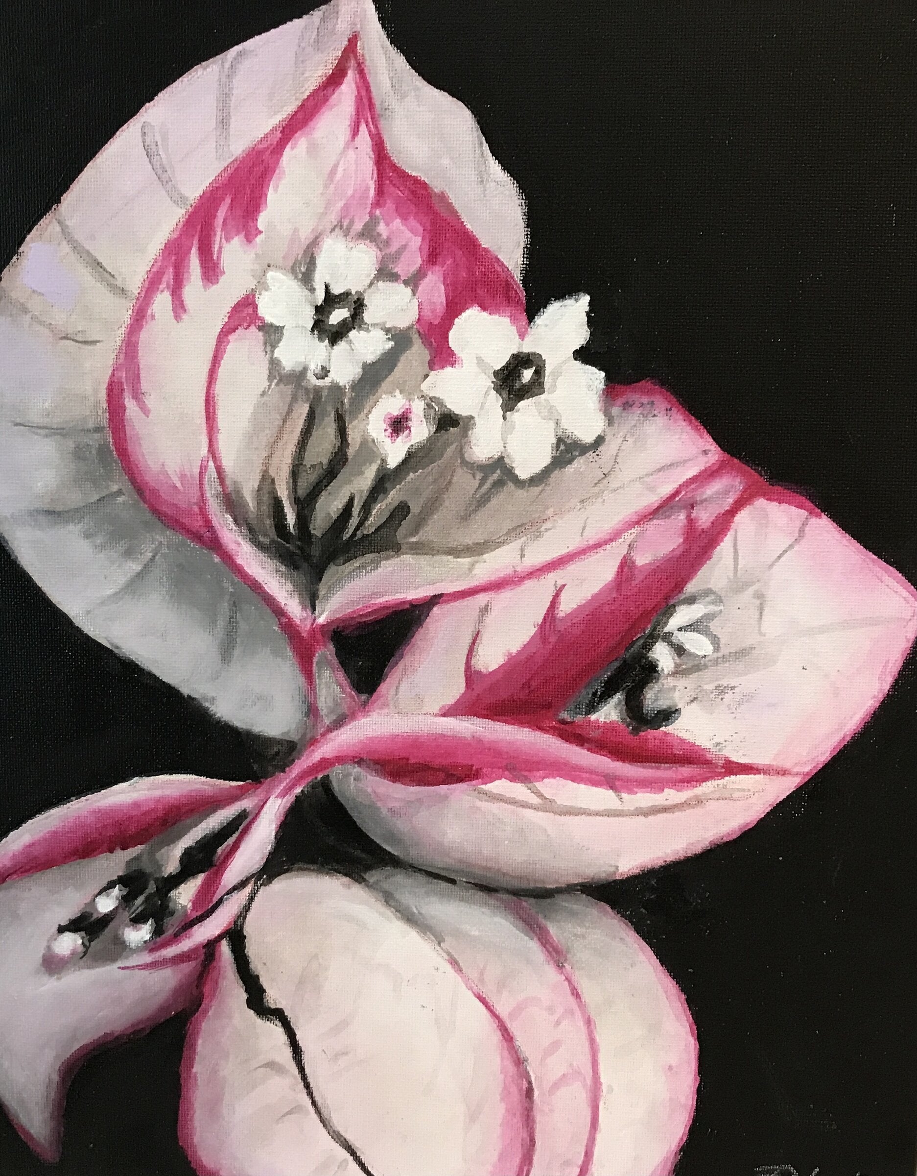 Magenta Accents