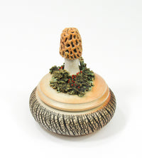 Morel