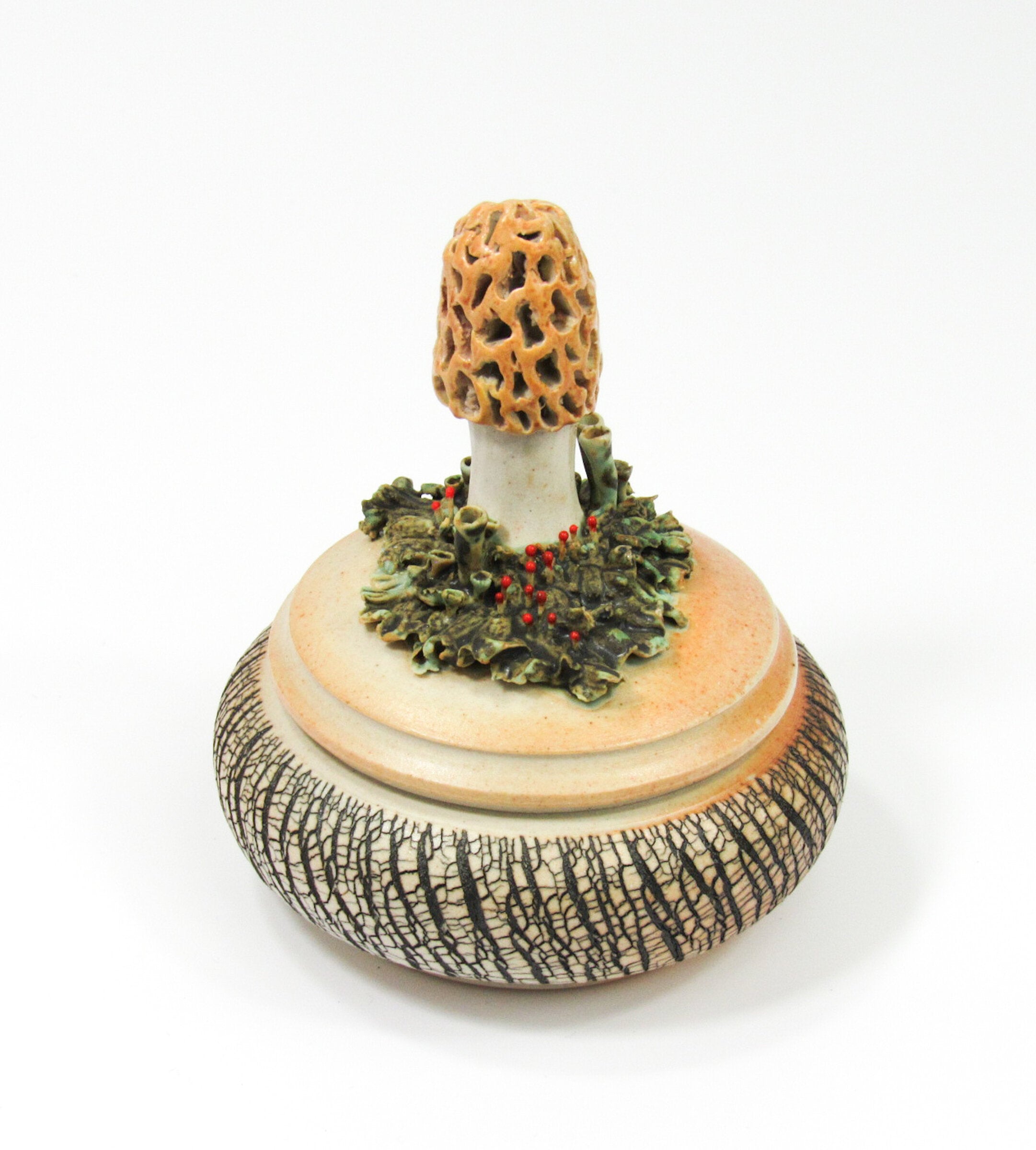 Morel