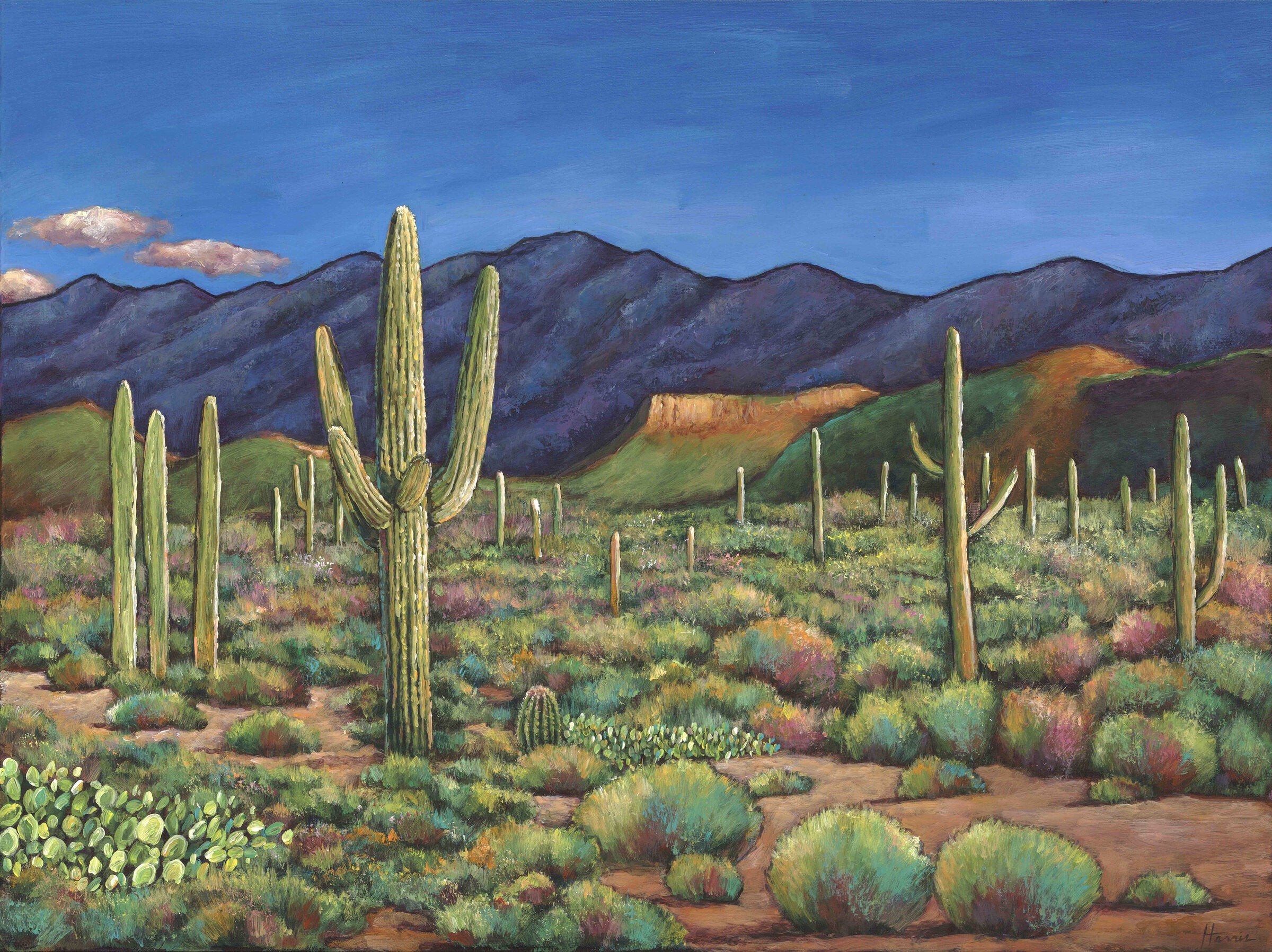 Sonoran Sentinals