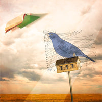 EveryBird