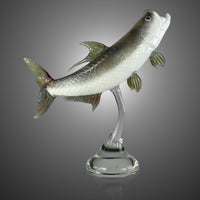 Tarpon