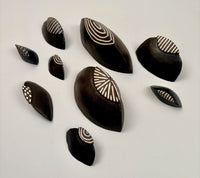Top Hat Chitons