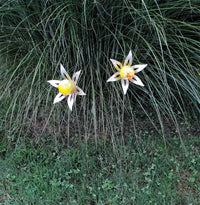 Floral Burst Garden Sculpture