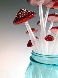 Dozen Longstems in Red
