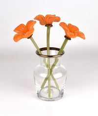 Forever Poppy Bouquet in Clear Bottle