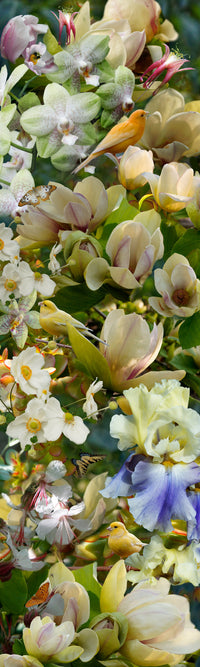 Gushes From the Throats of Birds, Hid in the Foliage of Trees, as the Sun Is Risen