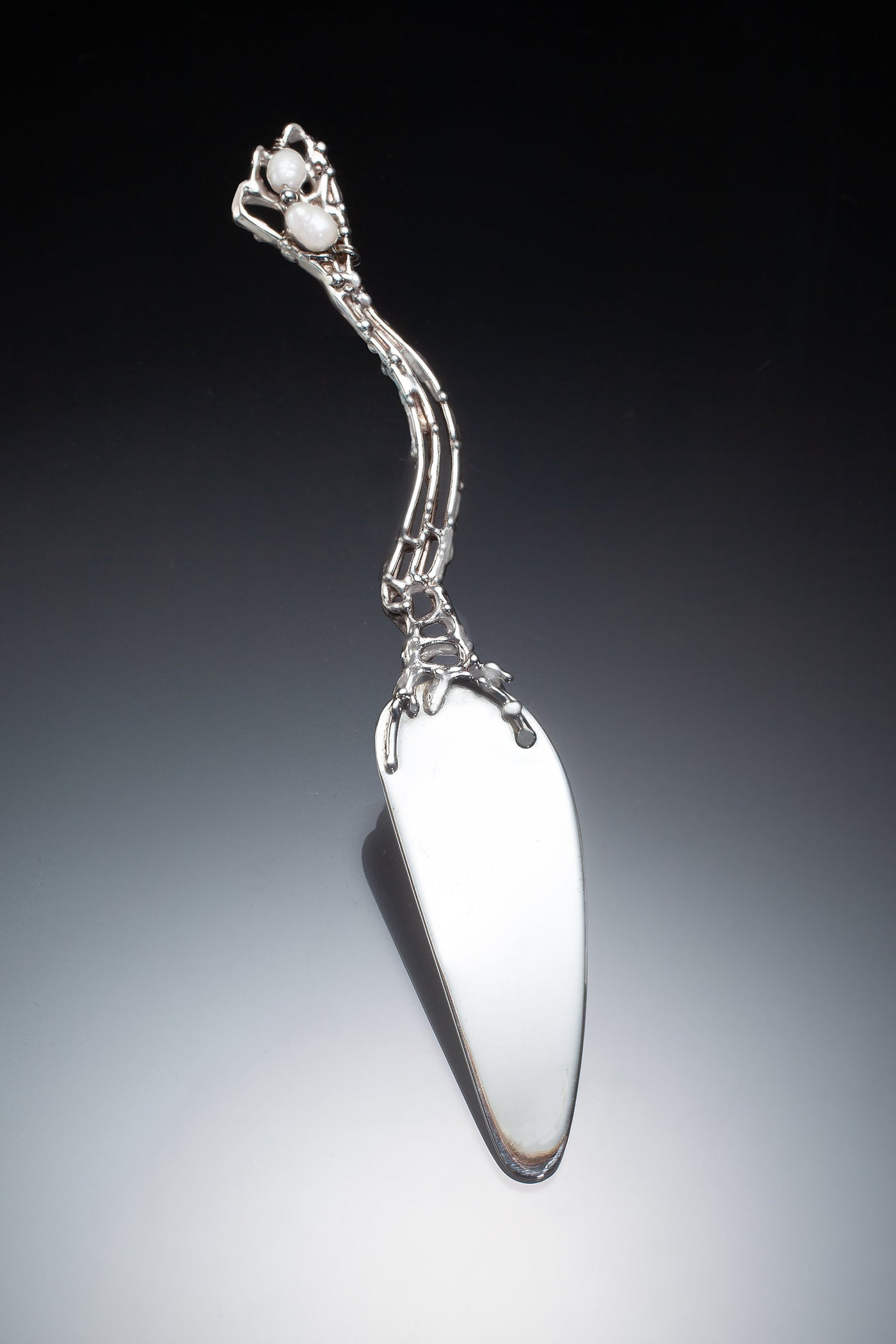 Photo by Ralph Gabriner