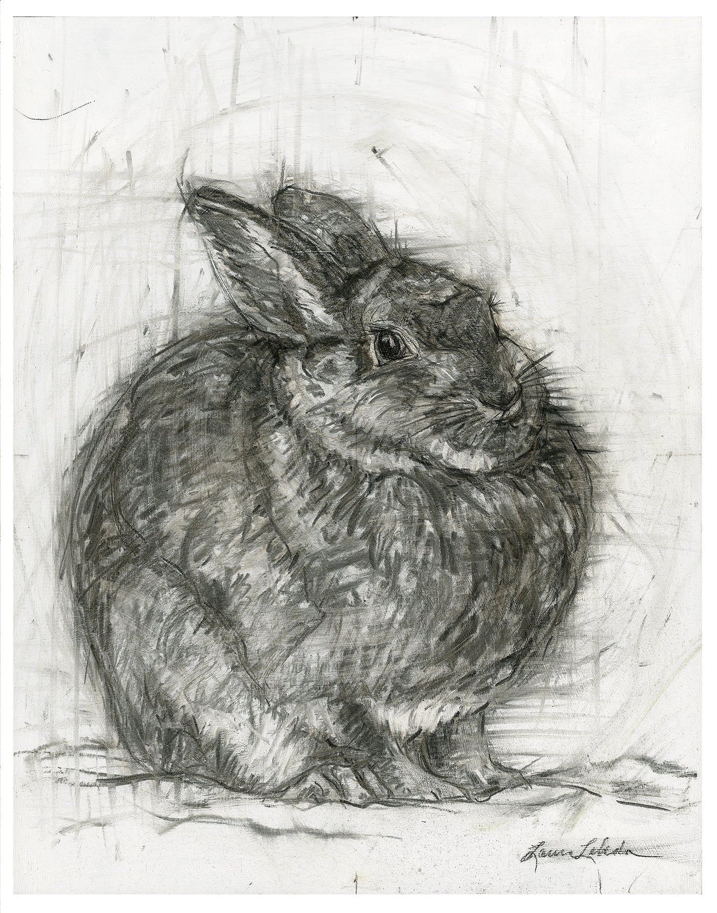 Contentment, Round Rabbit